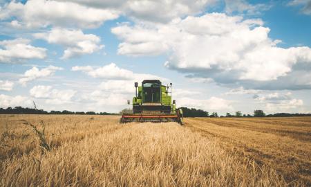 Paisaje agrícola, siega de campo de cereal con maquinaria