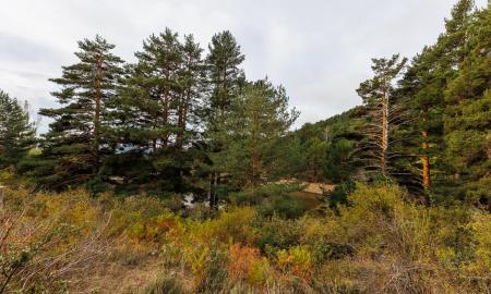 Paisaje de La Barranca