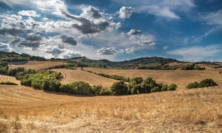 Foto terreno agrícola