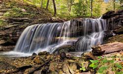 cascada sobre arroyo en bosque 