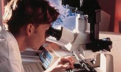 imagen investigación y docencia