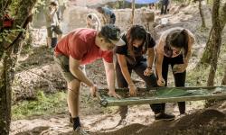 ayudas campos de voluntariado