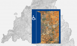 Accesibilidad